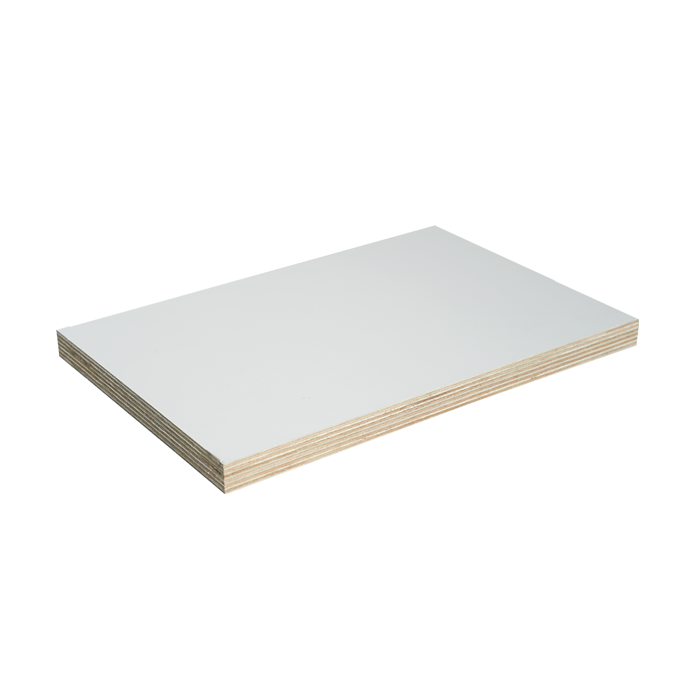 Polyester Veneered Birch Plywood