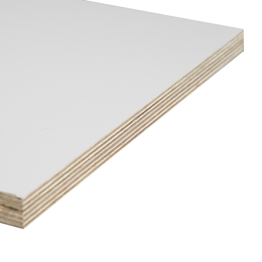 Polyester Veneered Birch Plywood