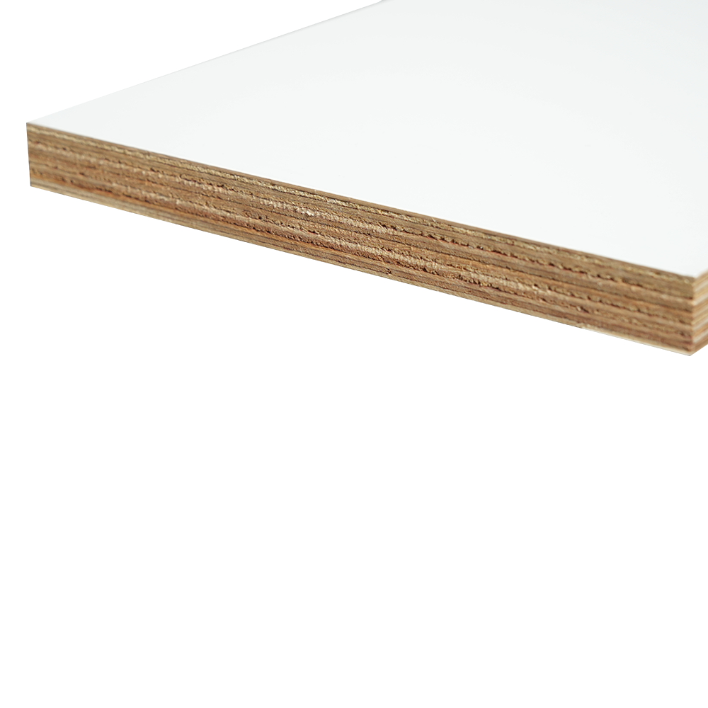 Polyester Veneered Birch Plywood